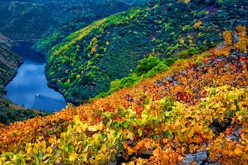 Discovering the Beauty of Ribeira Sacra: A Private Tour