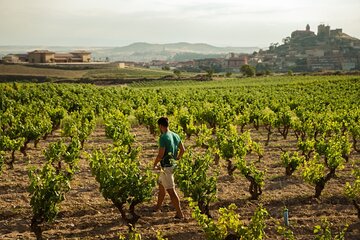 Full-Day Private Cultural and Gastronomic Adventure in Rioja