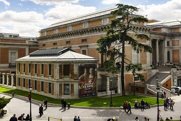 Prado Museum & Reina Sofia: Private Madrid Half-Day Guided Tour