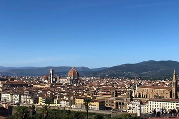 Florence guided Day Tour from Rome