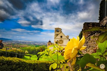 Montepulciano Wine Tasting and Assisi Private Day Tour from Rome