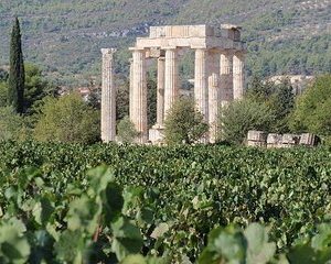 Nemea wine roads, The most famous wine tour in Greece