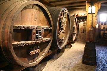 Olive Oil And Wine Museum With Food And Wine Tasting + Quad tour
