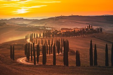 Rome to Florence Drive with Tuscany Tour Included