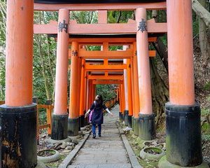 Explore Japan Tour: 12-day Small Group
