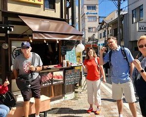 Highlights of Japan Tour: 10-day Small Group